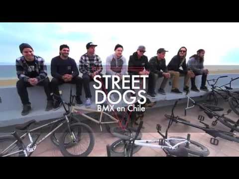BMX: Vans Shoes - Street Dogs In Chile - Teaser