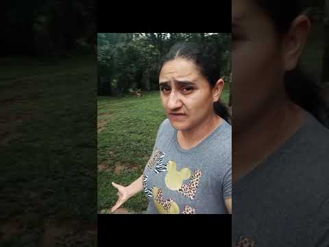 ótimo domingo pra todos nós meus amigos e amigas aqui no matão Prudentópolis PR Brasil