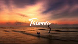 Avidanx - Lonely Nights