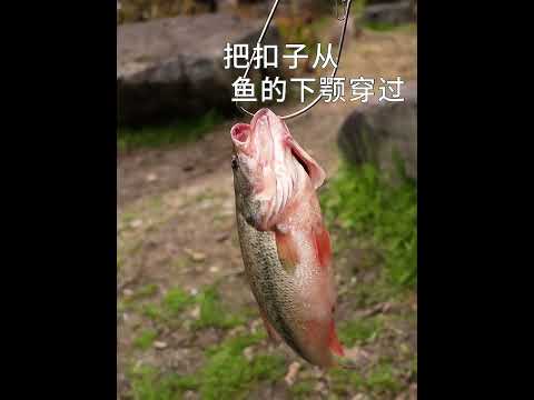 ~子甄彣璟~路亞活魚扣 不鏽鋼魚扣套 魚輪 捲線器 浮標 魚鎖 扣魚 鎖魚 釣魚自帶收納扣 易攜帶 不傷魚