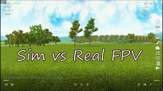 Sim vs Real FPV - Velocidrone