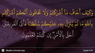 Download lagu Al-An'am ayat 81 mp3