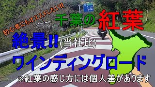 【モトブログ】初心者にもオススメ!?千葉県の快適ワインディングロードは紅葉彩るもみじロード(※紅葉の感じ方には個人差があります)【CBR125R】