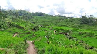 Download lagu LUAR BIASA ‼️ Serpihan Surga Yang Jatuh Di Kampung Ini,. Aktifitas Di Kampung Terpencil Yang Indah mp3