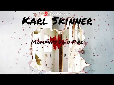 Karl Skinner - Momma's Doin Fine