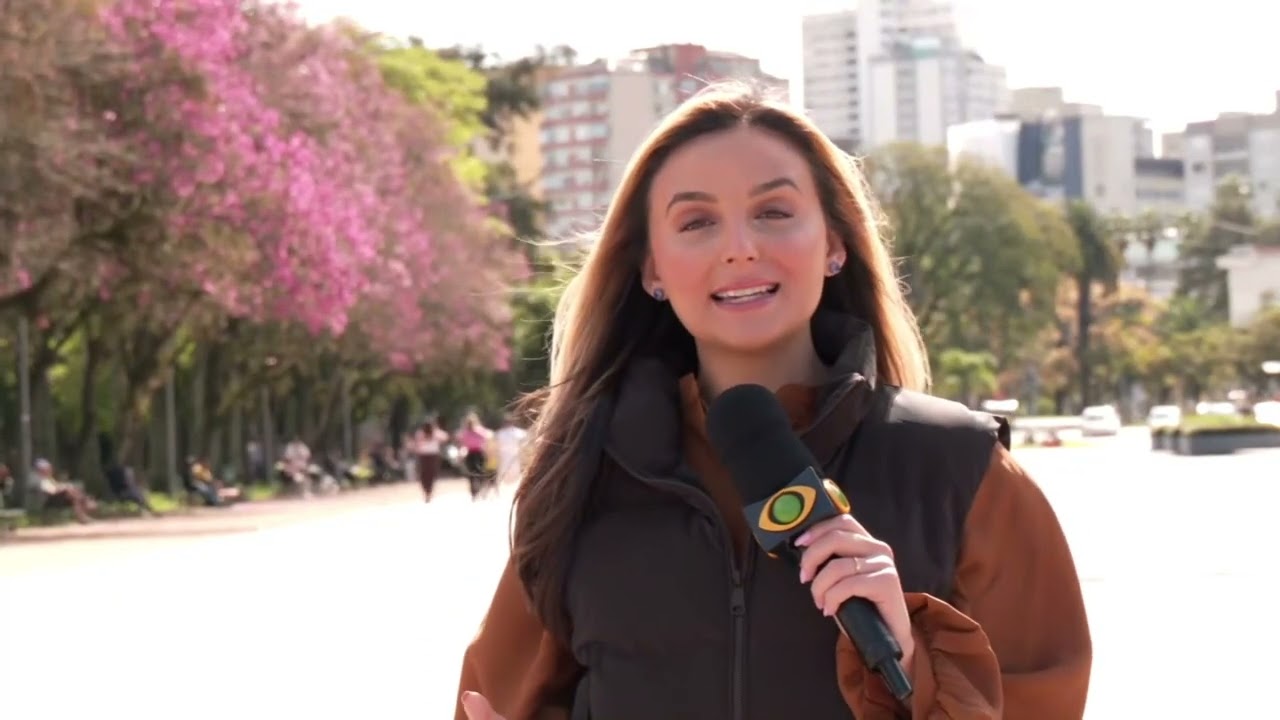 Ipês colorem as ruas de Porto Alegre durante a temporada de floração