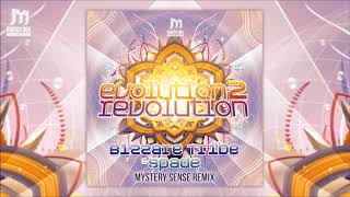 Bizzare Tribe &amp; Spade - Evolution 2 Revolution (Mystery Sense Remix) ᴴᴰ
