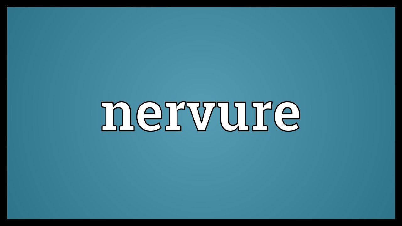 Nervure Meaning