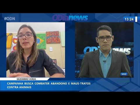 Campanha Dezembro Verde combate abandono e maus-tratos contra animais 04 12 2020