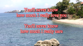 Do You Want To Know A Secret (with lyrics) - The Beatles ( Cover by Bobit )