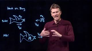 It's a Bird and it Swallowed a Bug | Physics with Professor Matt Anderson | M9-09