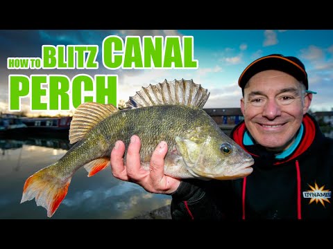 Big Perch on the Canal | Episode 3