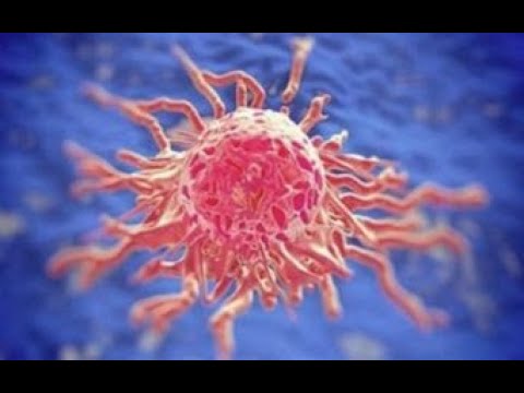 Rukje për të sëmurët me kancer