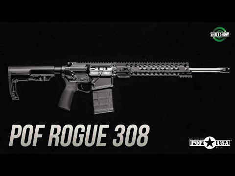POF Rogue Review 2023 - The little Battle Rifle that can?