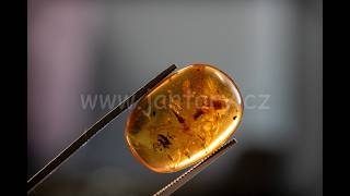 Druhohorní jantar z Myanmaru JHI-10