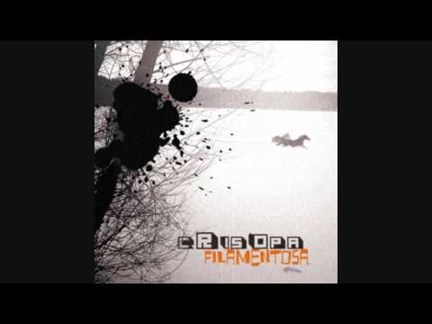 Crisopa - Sueños de Babirusa