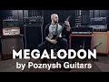 Megalodon by Poznysh Guitars (HD Review by Alex ...