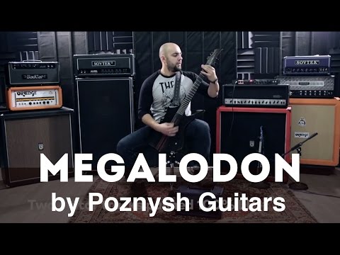 Megalodon by Poznysh Guitars (HD Review by Alex from Rise in Rage)