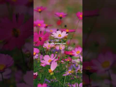 NIKI - You'll be in my heart (Spotify Single) #music #playlist #like #subscribe #spotify