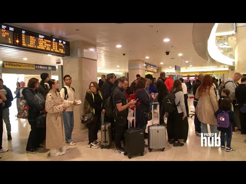 Étoiles de la vidéo Onlyfans