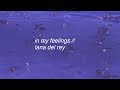 In My Feelings Lana Del Rey Lyrics