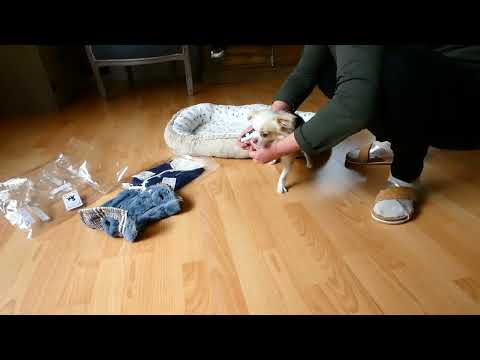 Herbst/Winterkollektion | Cedric und Herr Schubert