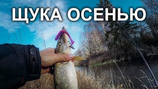 Ловля на малой речке поздней осенью