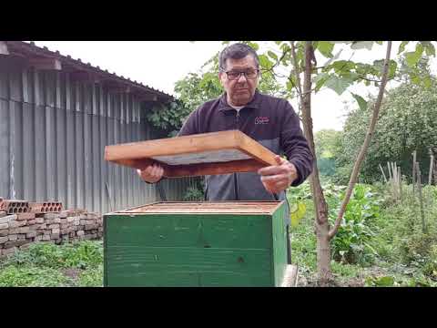 JAKO VAŽNO ZA DOBRO ZIMOVANJE PČELA.12.10.2021.