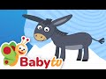 Donkey Animal Sounds And Names For Kids Toddlers BabyTV