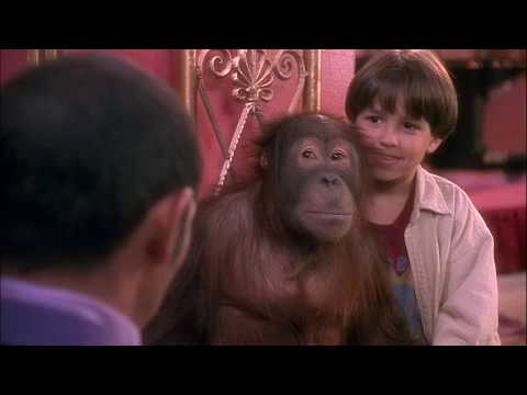 Dunston being a cheeky monkey compilation