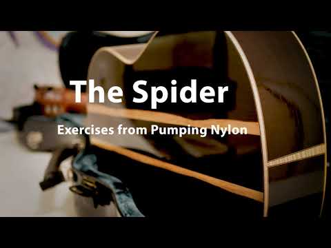 The Spider from Pumping Nylon