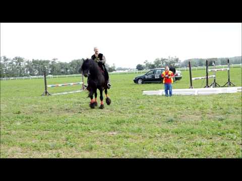 Dostihy - Martin Uhrovčík a jeho kaskadérska skupina