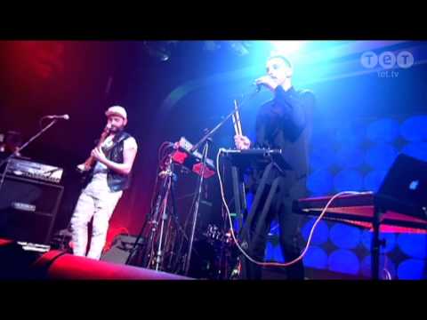 Tape Flakes - Стадо белоснежно-диких пум | #кращийконцертроку