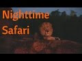 Full Nighttime Kilimanjaro Safaris Ride At Disney S Animal Kingdom
