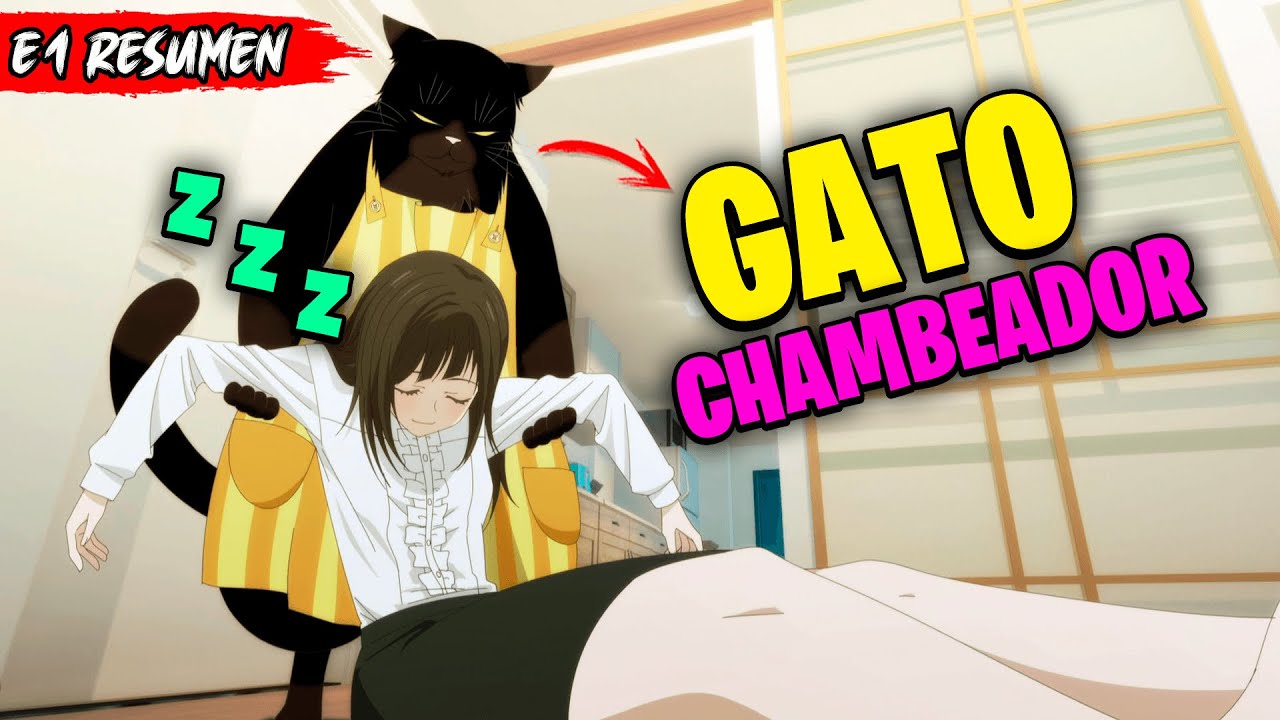 🐈EL GATO MAGISTRAL que CUIDABA🛟 a su DUEÑA HOLGAZANA😴 - DEKINEKO (1-13)