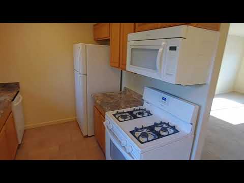 Conifer1880 - Video 2 of 2