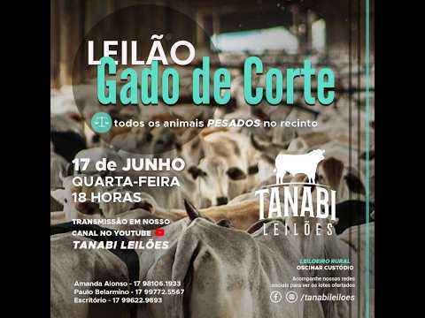 Tanabi Leilões - AO VIVO - 17/06/2026