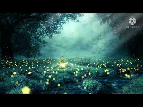 Beautiful nature music, relaxing music, piano music, guitar music, sleeping music,