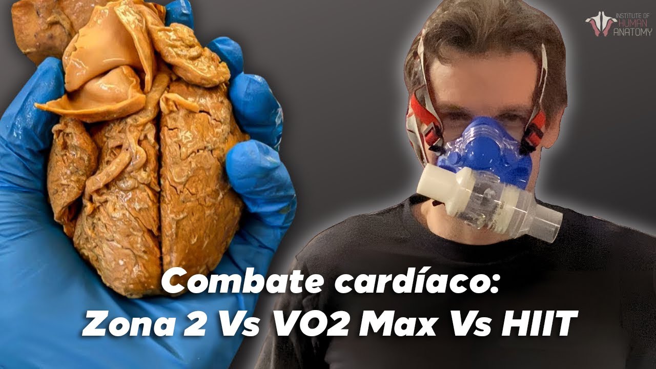 ¿Qué Entrenamiento Cardiovascular Es Realmente Efectivo?