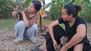 Channel Updates and Upcoming Study Abroad Journey Sharing