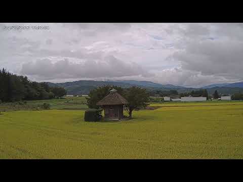 遠野市 荒神神社のライブカメラ映像