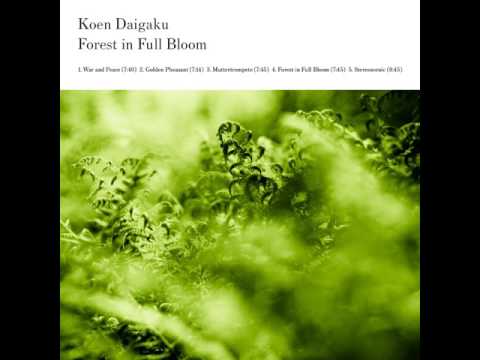 Koen Daigaku - War and Peace