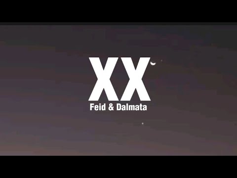 XX (Remix) - Feid, Dalmata (Letra)