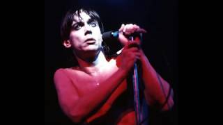 Iggy Pop Barberellas May 4th 1979