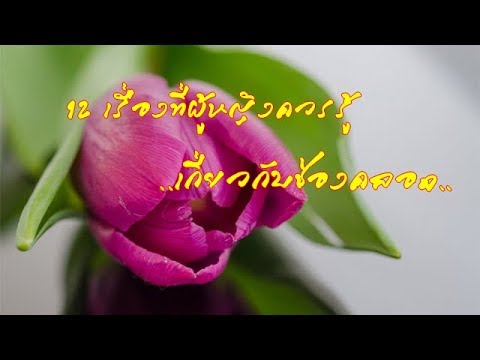 ครีมจากความอ่อนแอด้วยมือของเขาเอง วางค้อนของ ธ อร์ในยูเครนคิดเห็น