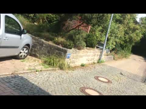 Brandstifter im Osterwald