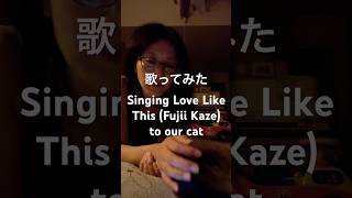 Love Like This - Fujii Kaze 歌ってみた#fujiikaze#藤井風 #lovelikethis #英語で歌おう