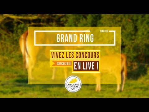 Voir la vidéo : Grand ring du 28 Février 2018