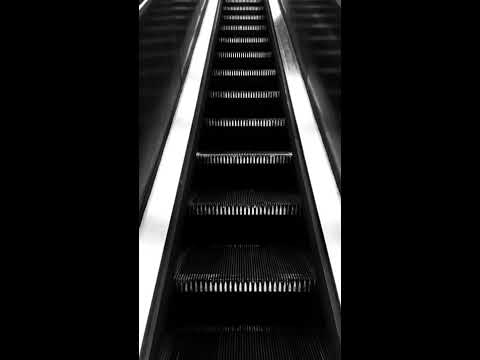 Roman Rofalski - Perpetuum