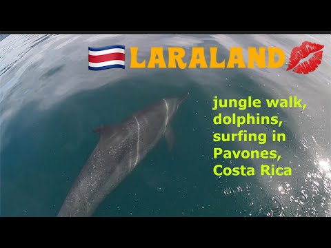 Surfing Pavones, dolphins and jungle walk - Costa Rica